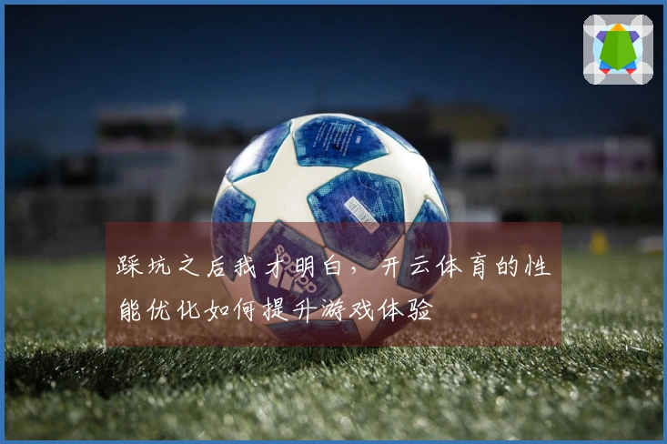 踩坑之后我才明白，开云体育的性能优化如何提升游戏体验