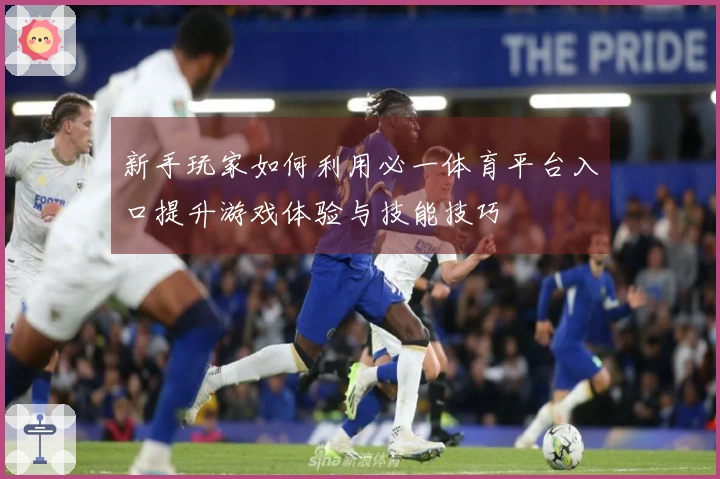 新手玩家如何利用必一体育平台入口提升游戏体验与技能技巧