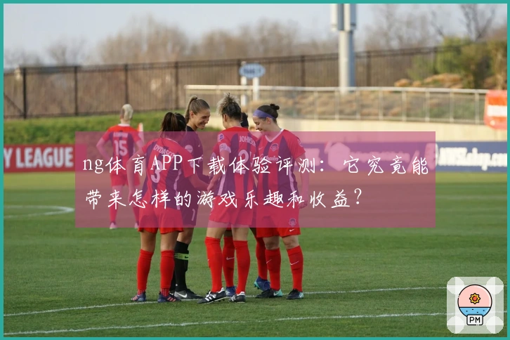 ng体育APP下载体验评测：它究竟能带来怎样的游戏乐趣和收益？