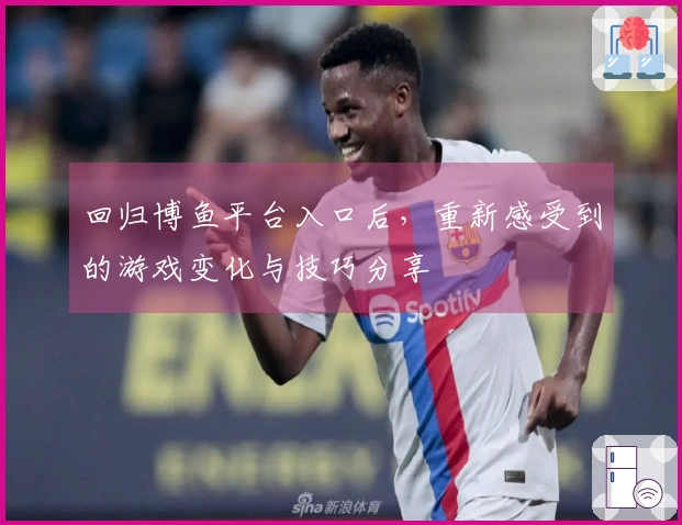 回归博鱼平台入口后,重新感受到的游戏变化与技巧分享